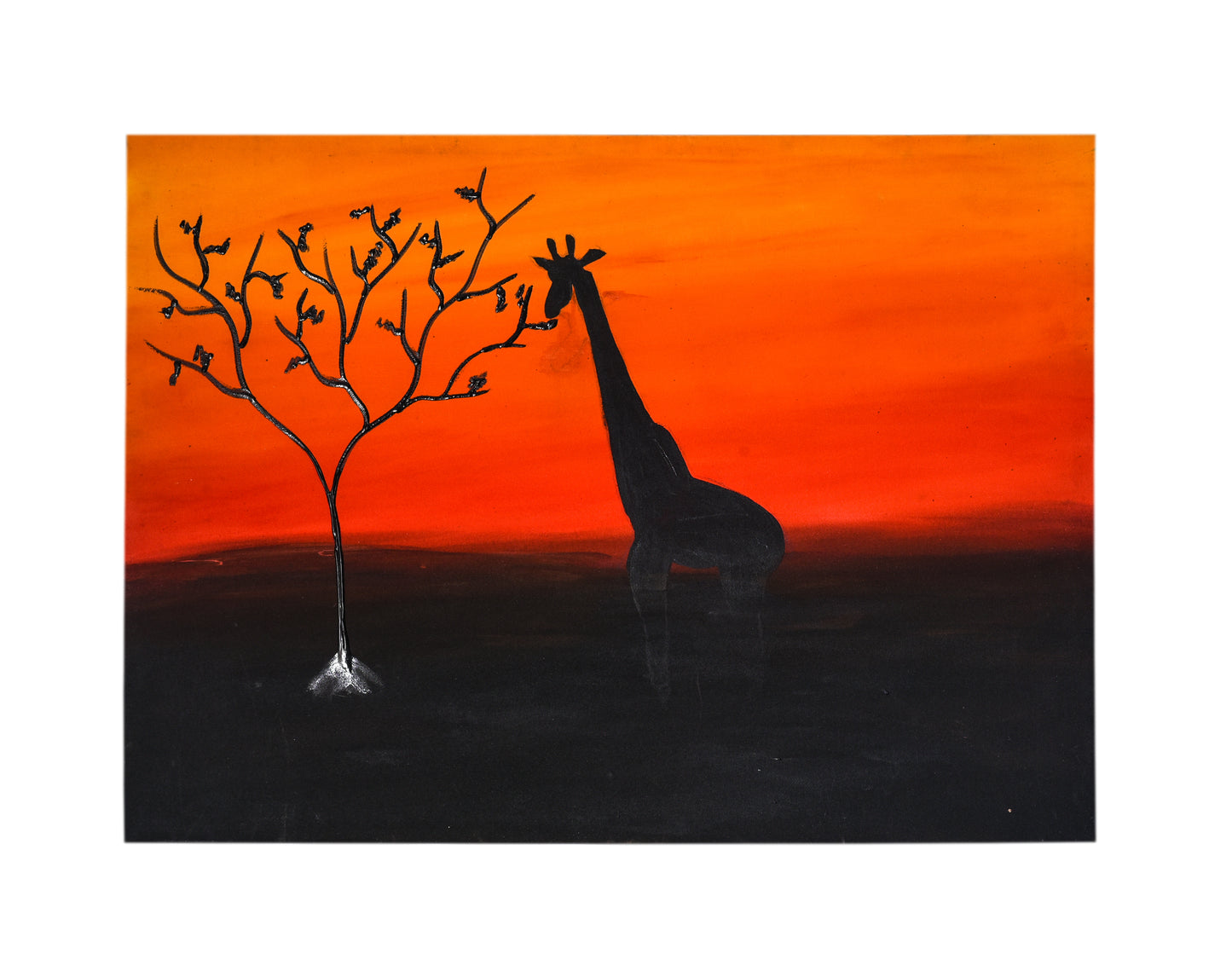 Giraffe eating from a tree