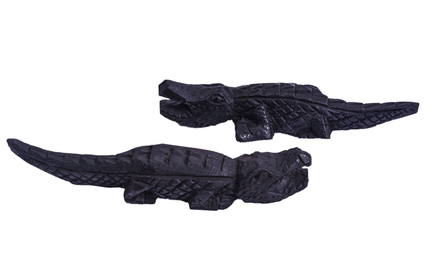 black crocodile