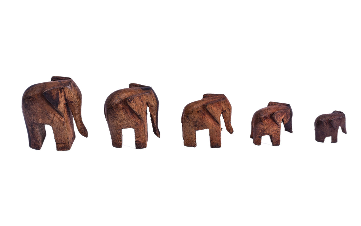 Family of Elephants
